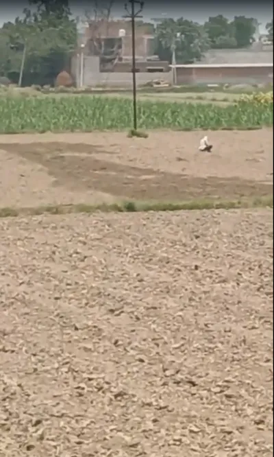 Sikhera, Uttar Pradesh 245207, India preview 2