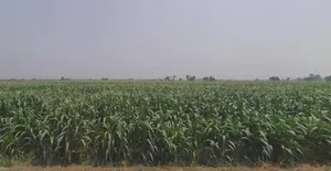 Vandhiya, Gujarat 370150, India preview 3