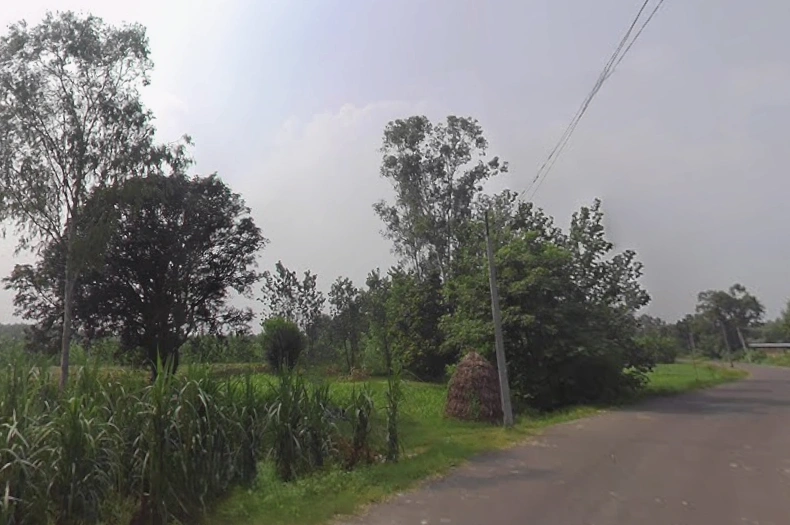 Pilkhani, Uttar Pradesh 247451, India