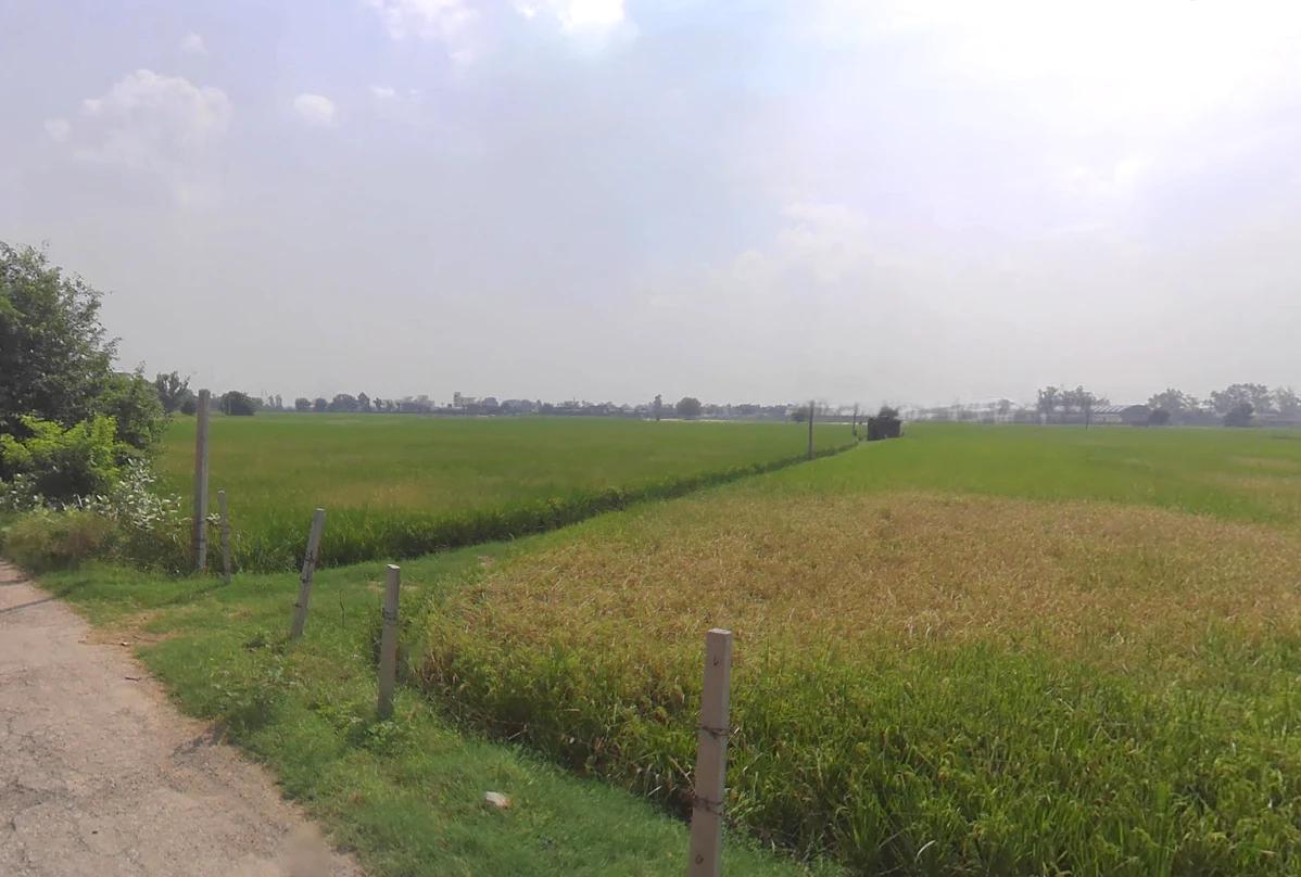 Pehowa, Haryana 136128, India