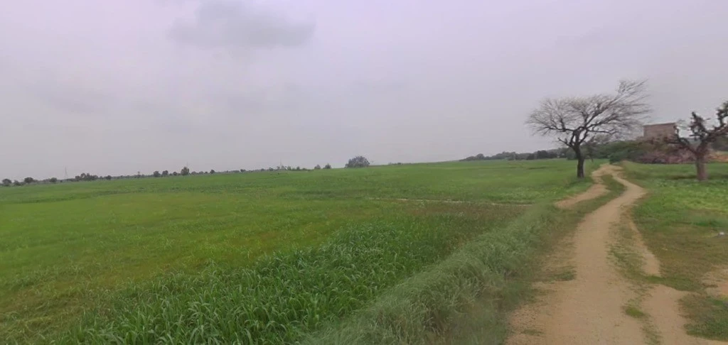 Mirzapur, Madhya Pradesh 455221, India