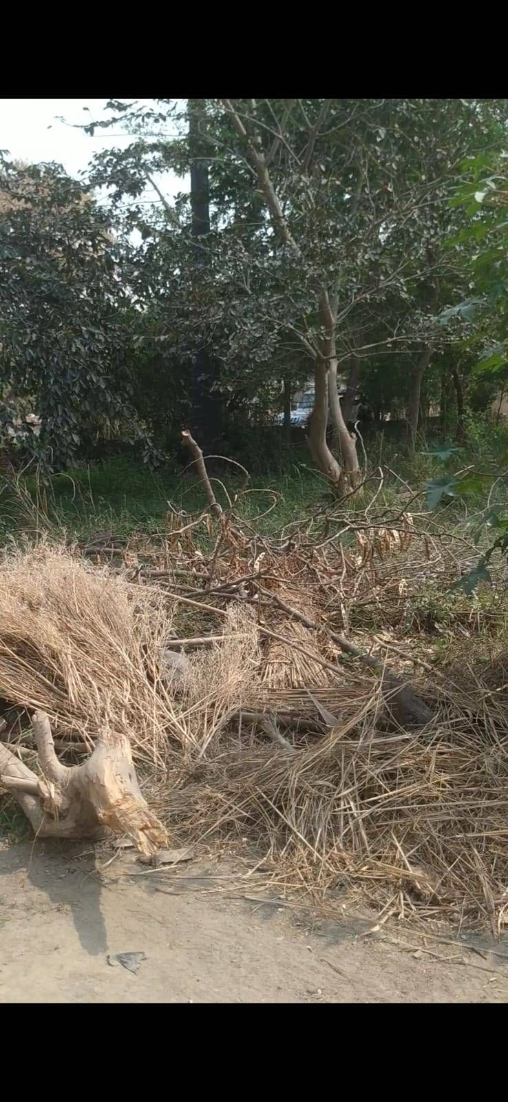 Dhan Ghata, Uttar Pradesh 272162, India