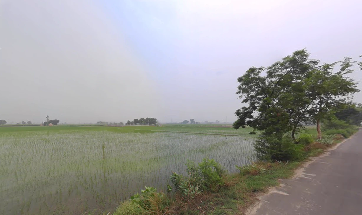 Chanchak, Haryana 136035, India