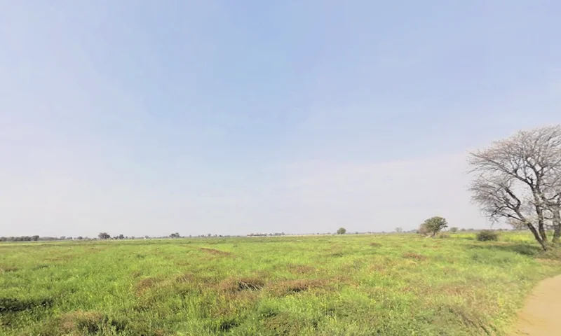 Khori, Haryana 123101, India preview 2