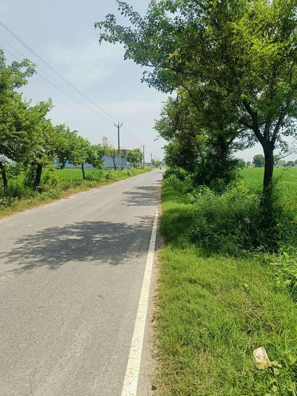 Gora, Mathura, Uttar Pradesh 281404, India