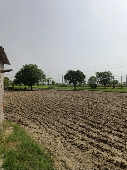 Bharawah, Sonbhadra, Uttar Pradesh 231216, India