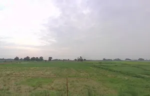 G9F4+XR5, Lucknow Expressway, Kanpur, Hariherpur Gair Ehatmal, Uttar Pradesh 209861, India preview 2
