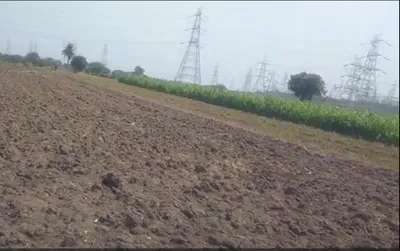 WV3V+Q2C, Indore, Shahna, Madhya Pradesh 453551, India preview 3