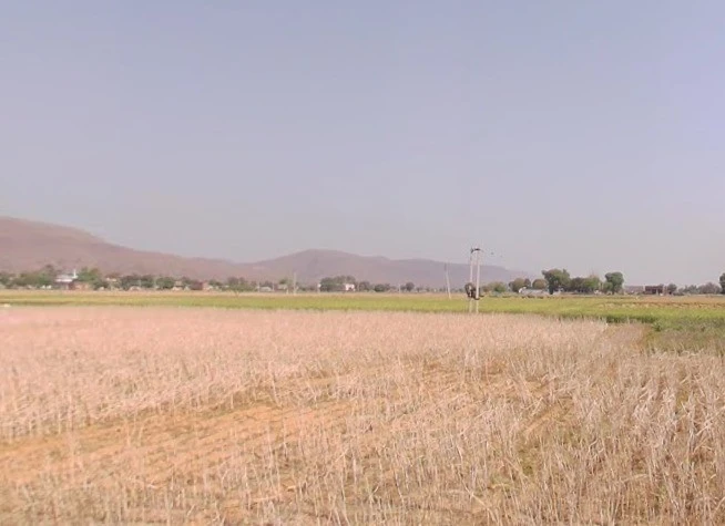 MQMW+QHG, Dhaneta, Rajasthan 301025, India