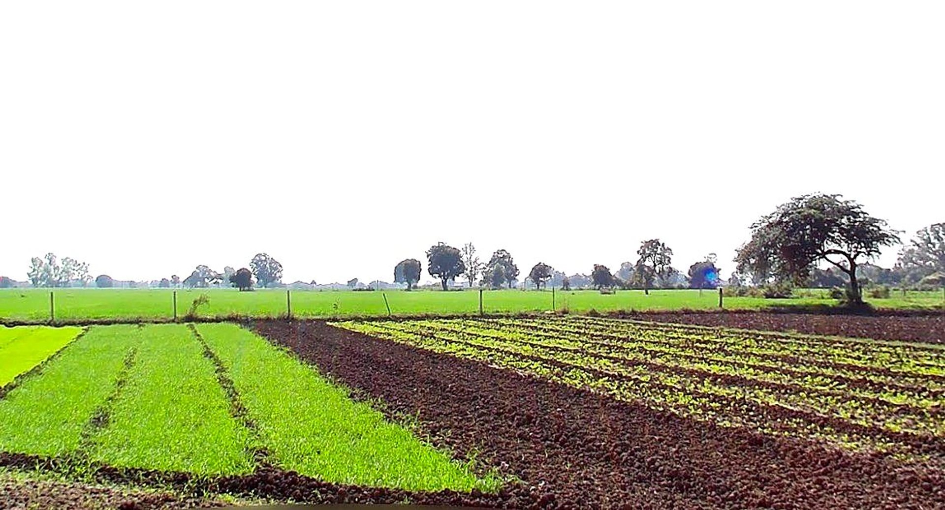 Solsinda, Madhya Pradesh 453551, India