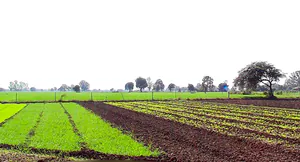 Solsinda, Madhya Pradesh 453551, India preview 2