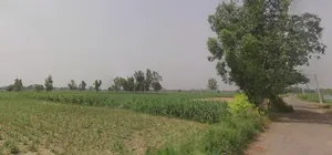 Katra, Uttar Pradesh 250401, India preview 2
