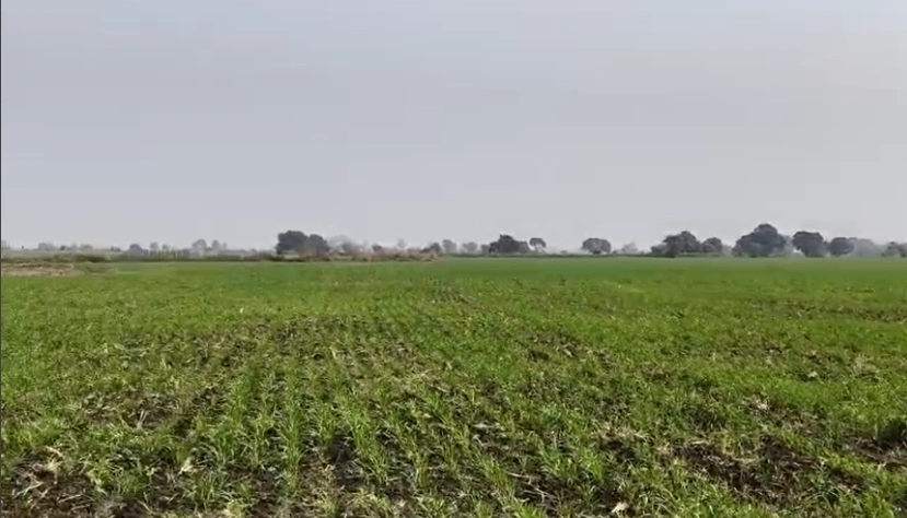 Garya, Indore, Madhya Pradesh 452016, India