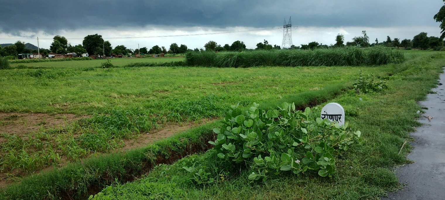 Ronpur, Rajasthan, India