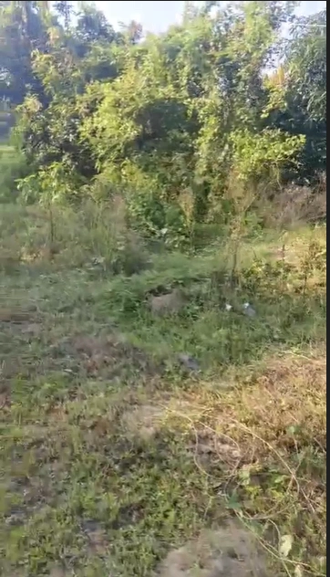 7CVP+5C9, Bhopal, Madhya Pradesh, India