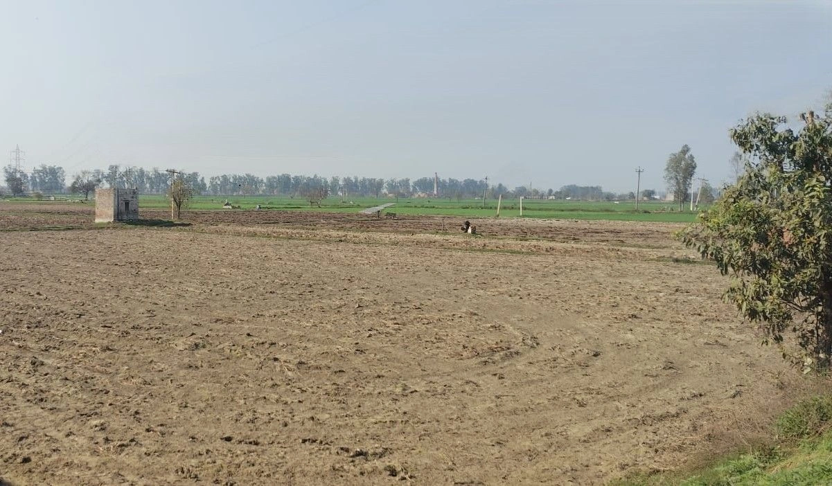 Bagru, Haryana, India preview 3