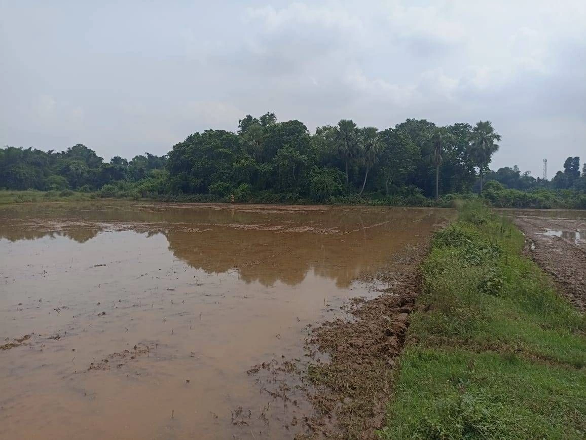Routpada, Baleswar, Odisha, India