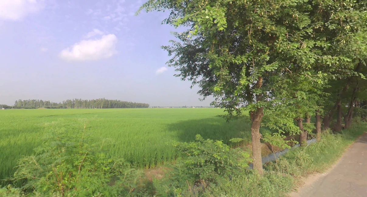 Dibai, Uttar Pradesh 203393, India