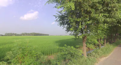 Dibai, Uttar Pradesh 203393, India preview 3