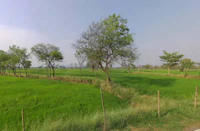 Odka, Chhattisgarh 493441, India preview 3