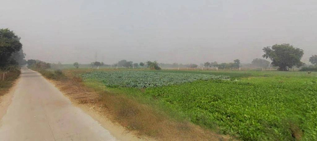 Sector Rd, SRS Pearl, Sector 87, Neharpar Faridabad, Faridabad, Haryana, India