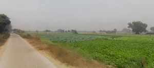 Sector Rd, SRS Pearl, Sector 87, Neharpar Faridabad, Faridabad, Haryana, India preview 2