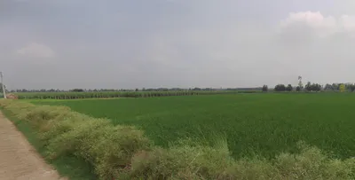 Bilsanda, Uttar Pradesh 262202, India preview 2