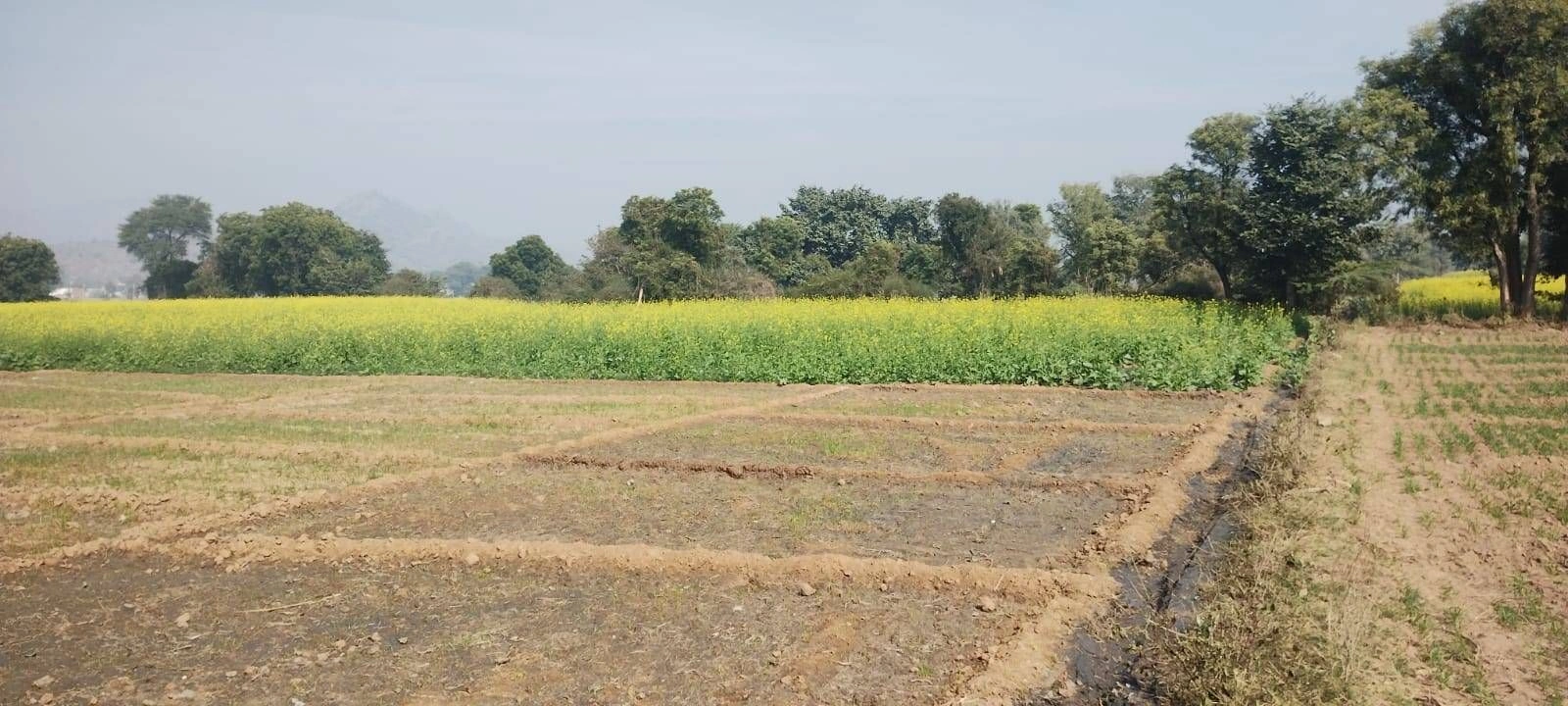 Aloda, Rajasthan 332602, India