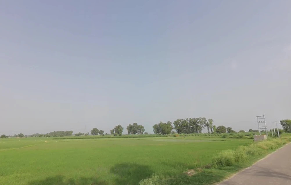 Basta, Odisha, India