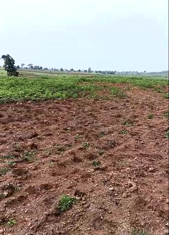 Suthaliya, Rajgarh, Madhya Pradesh 465677, India