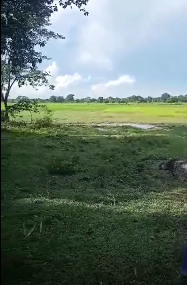 JC5W+8P7, Golaghat, No.2 Kohora, Assam 785609, India