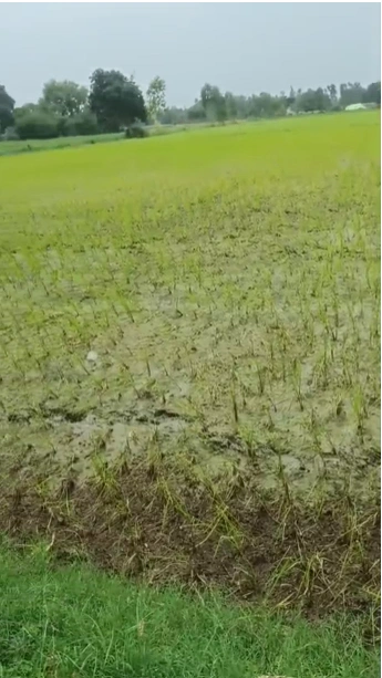 Israna, Panipat, Haryana 132107, India