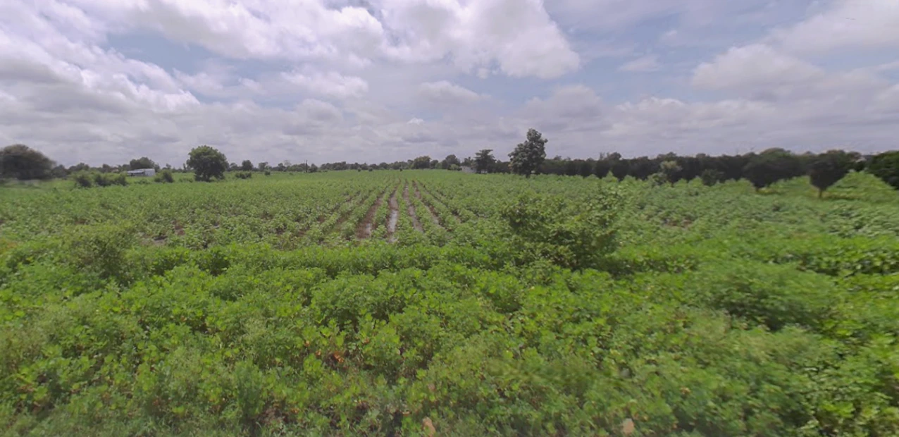 Dhapewada, Kalmeshwar, Maharashtra 441501, India