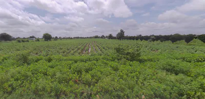 Dhapewada, Kalmeshwar, Maharashtra 441501, India preview 2