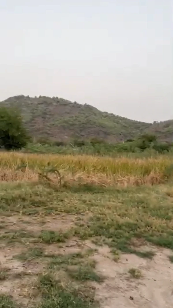 JR67+JR Debari, Udaipur, Rajasthan, India