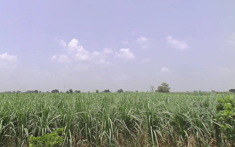Alamgir Pur, Uttar Pradesh 250502, India