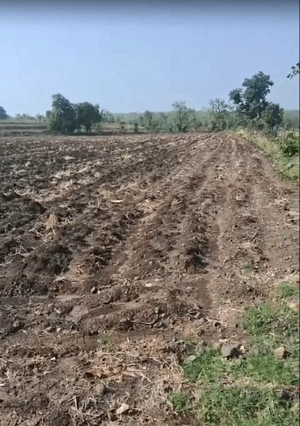 Kalmer Badi, Indore, Madhya Pradesh, India