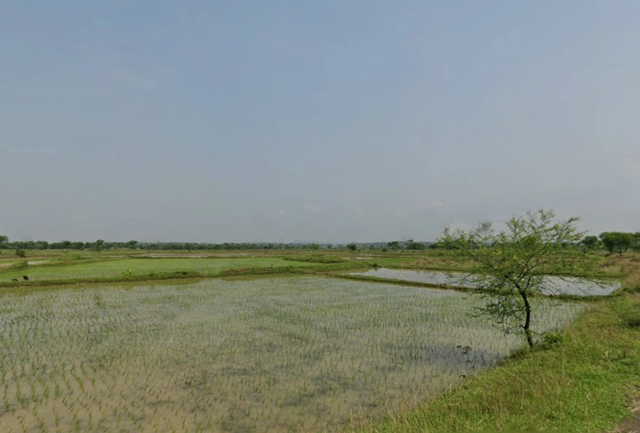 Chhatna, West Bengal 722132, India