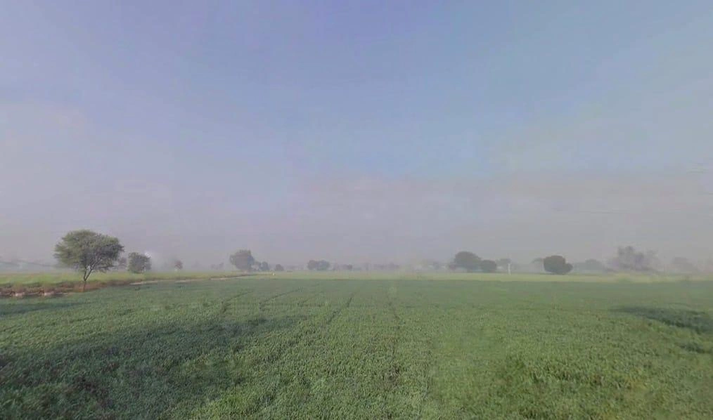 Milakpur, Rajasthan 301402, India