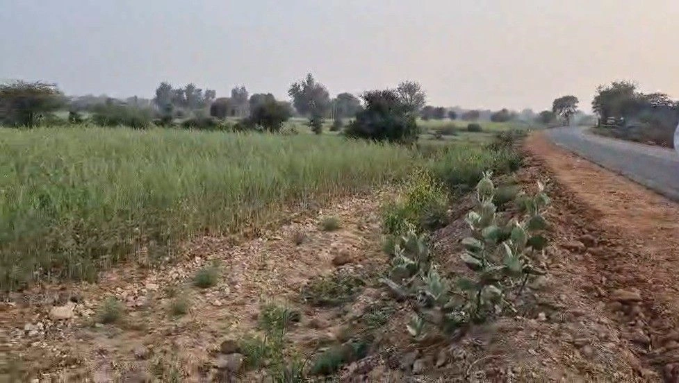 CHG6+96 Sarangpura, Rajasthan, India