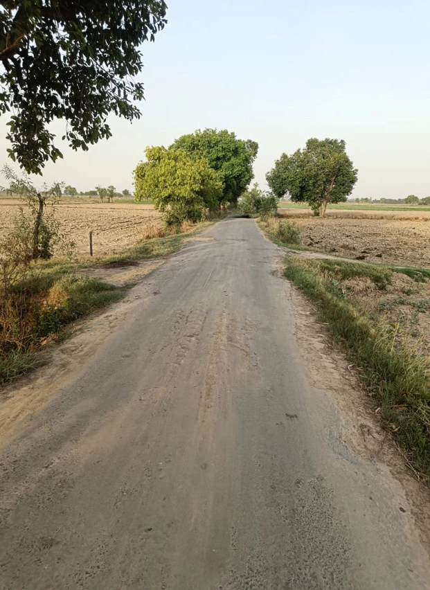 2RXH+5GX, Ujjain, Silodamori, Madhya Pradesh 456006, India