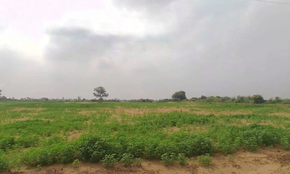 Arjansar, Rajasthan 334604, India