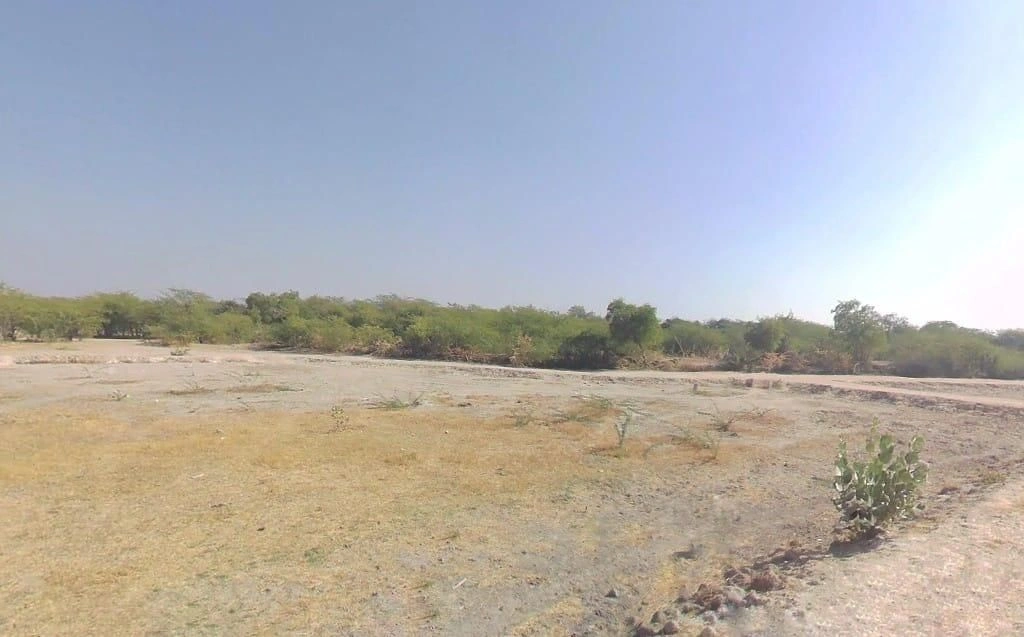 V5VM+4G7, Bandai, Rajasthan 306421, India