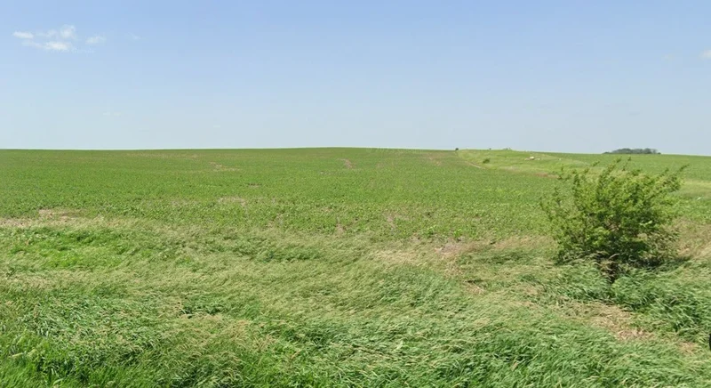 693, Sector 3, Pithampur Industrial Area, Pithampur, Madhya Pradesh 454774, India preview 3