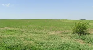 693, Sector 3, Pithampur Industrial Area, Pithampur, Madhya Pradesh 454774, India preview 3