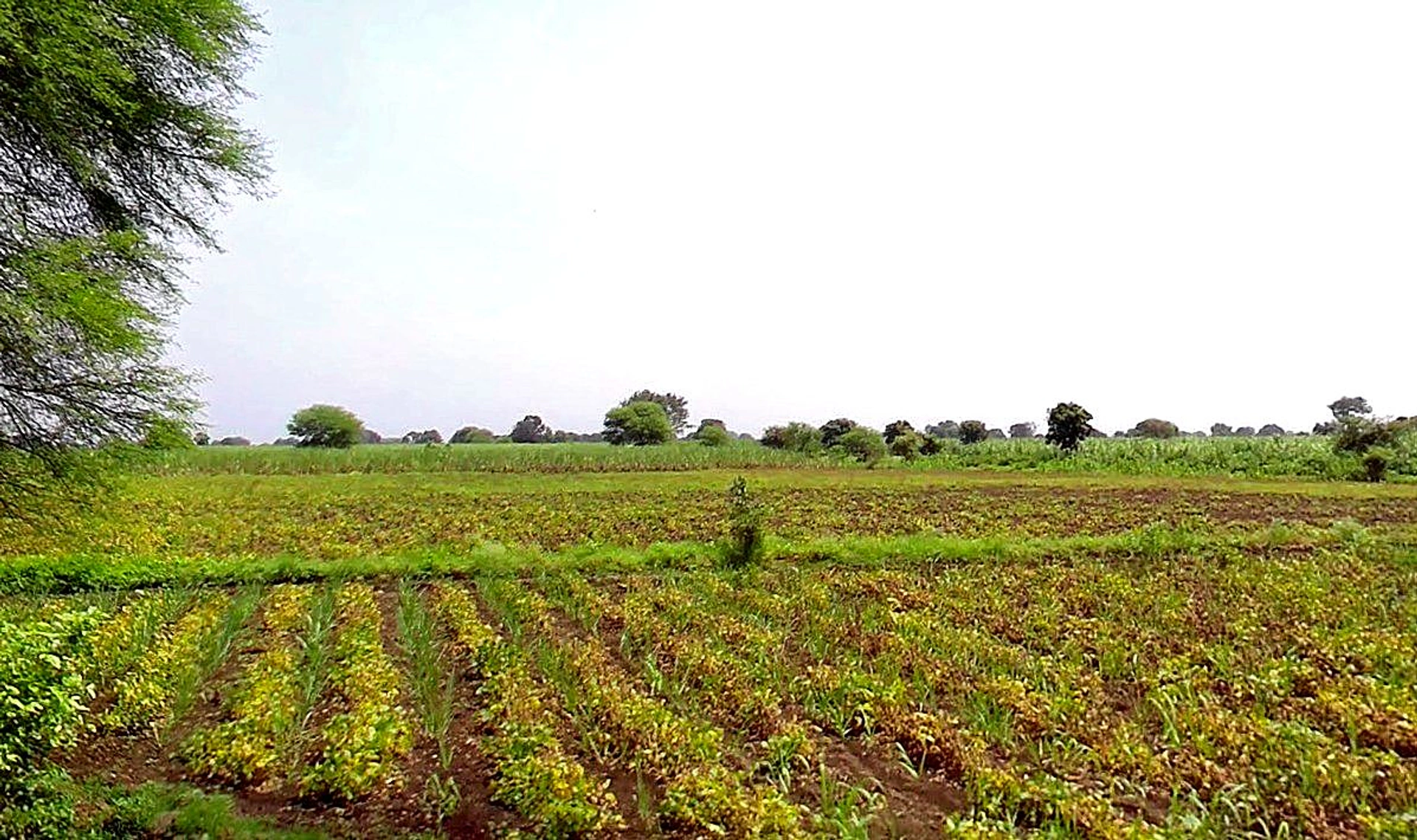 7779+QM Rehata, Madhya Pradesh, India