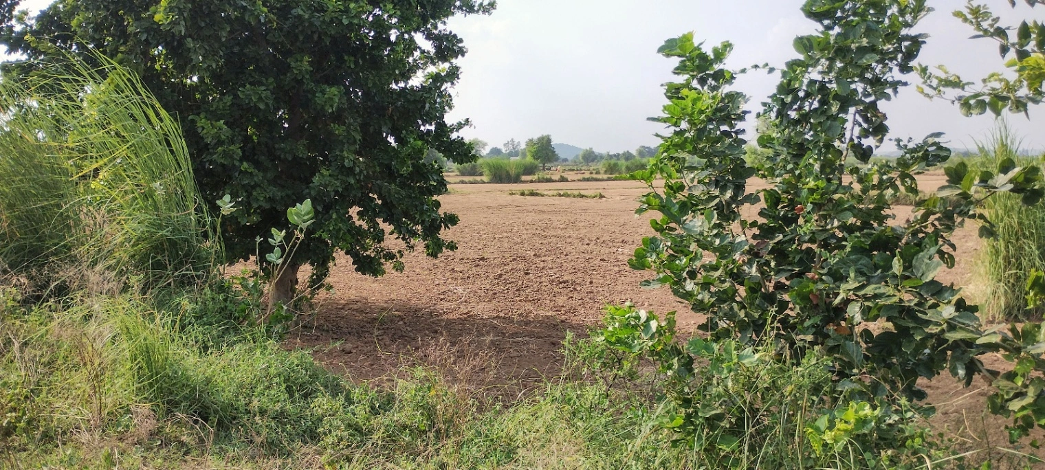 Nagla Chahar, Rajasthan 321203, India