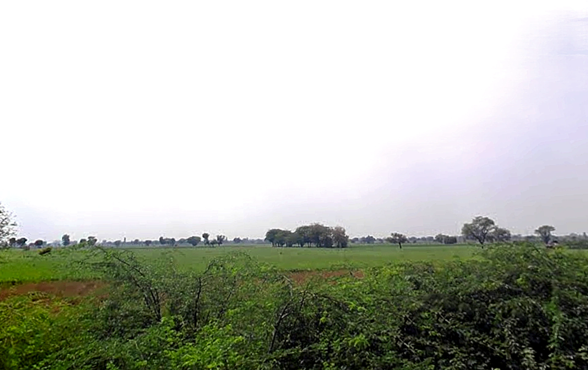 PGG2+53V, Barsana Rd, Chhata, Chhata Rural, Uttar Pradesh 281401, India