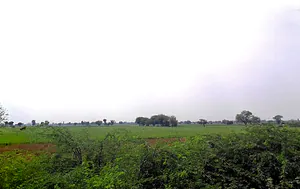 PGG2+53V, Barsana Rd, Chhata, Chhata Rural, Uttar Pradesh 281401, India preview 2