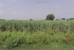 Baraut, Uttar Pradesh 250611, India preview 2